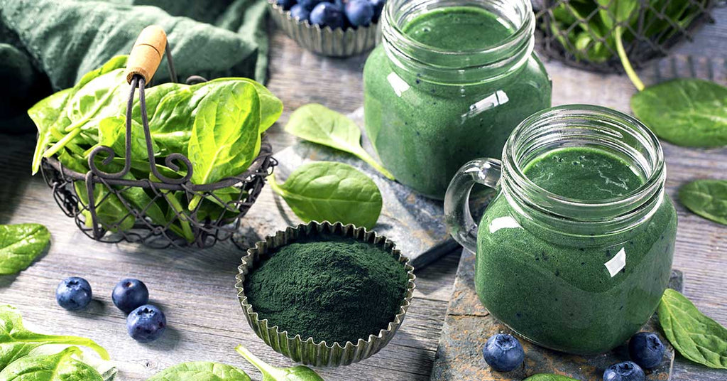 Süper Besin Spirulinanın Faydaları